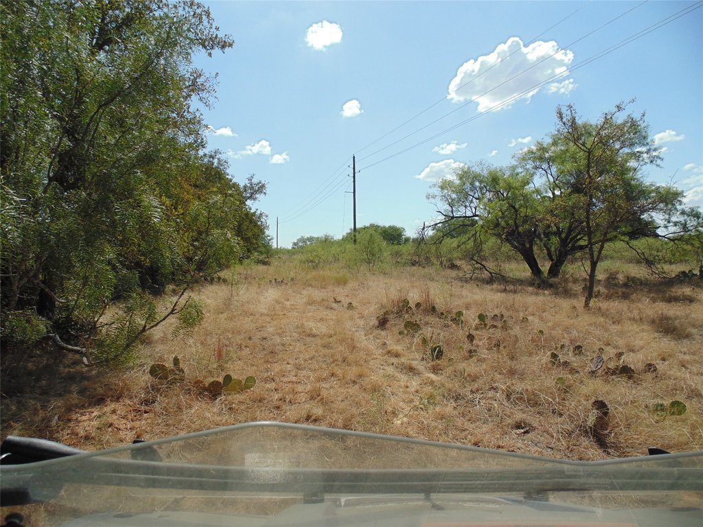Picture 15