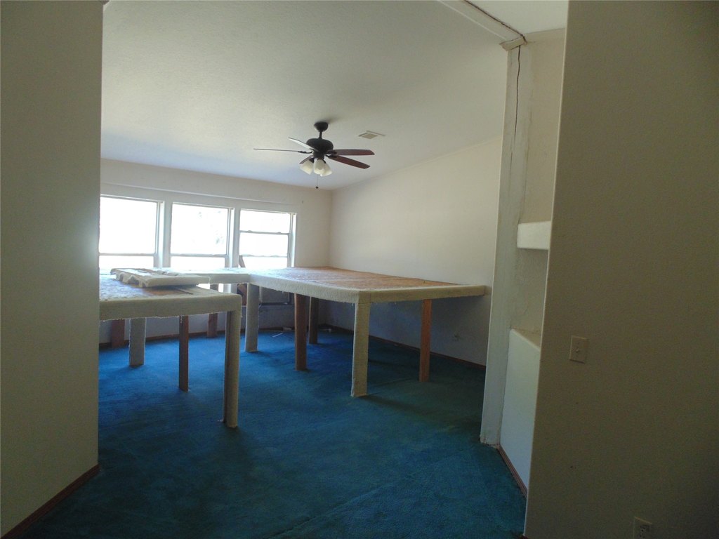 Picture 32