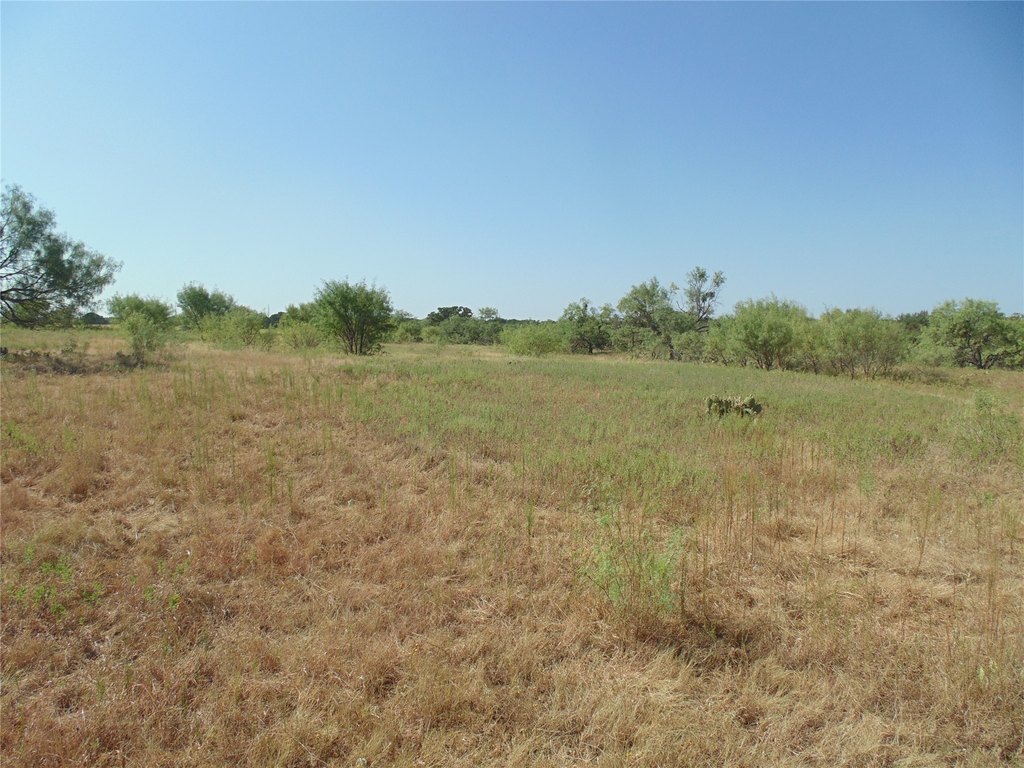 Picture 18