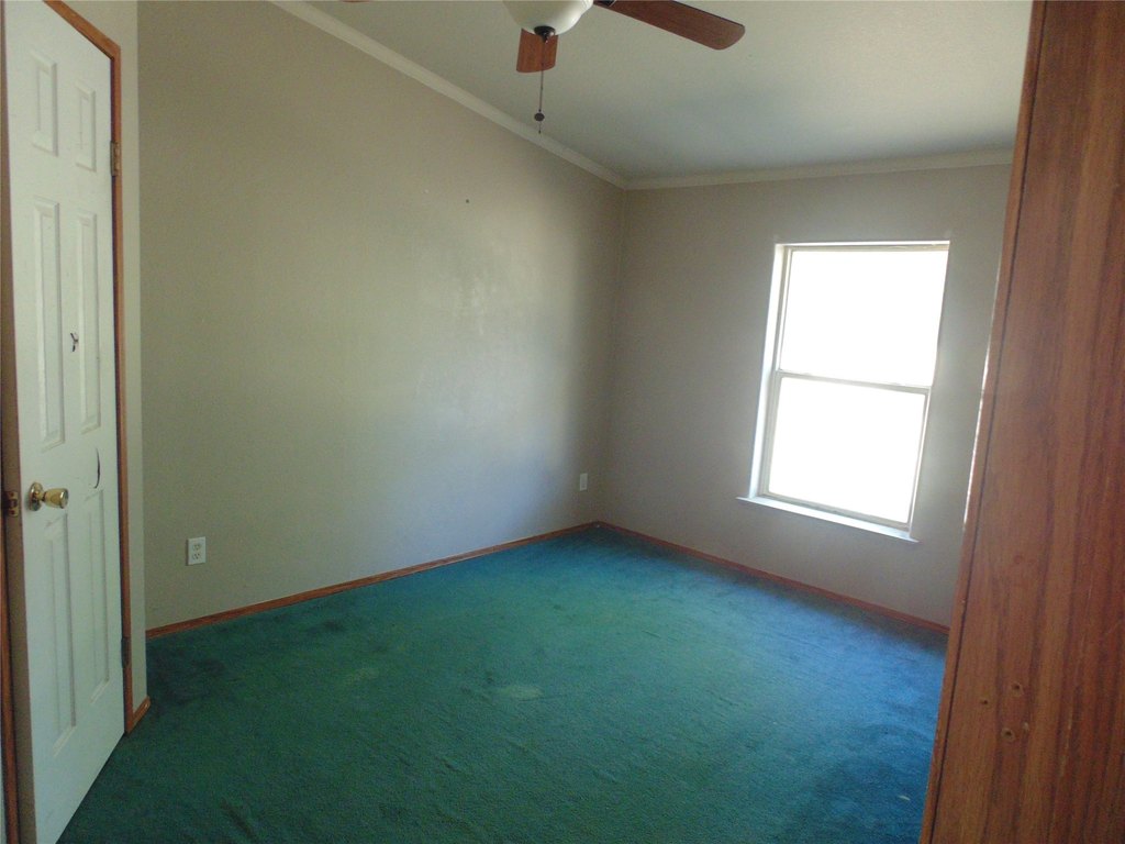 Picture 35