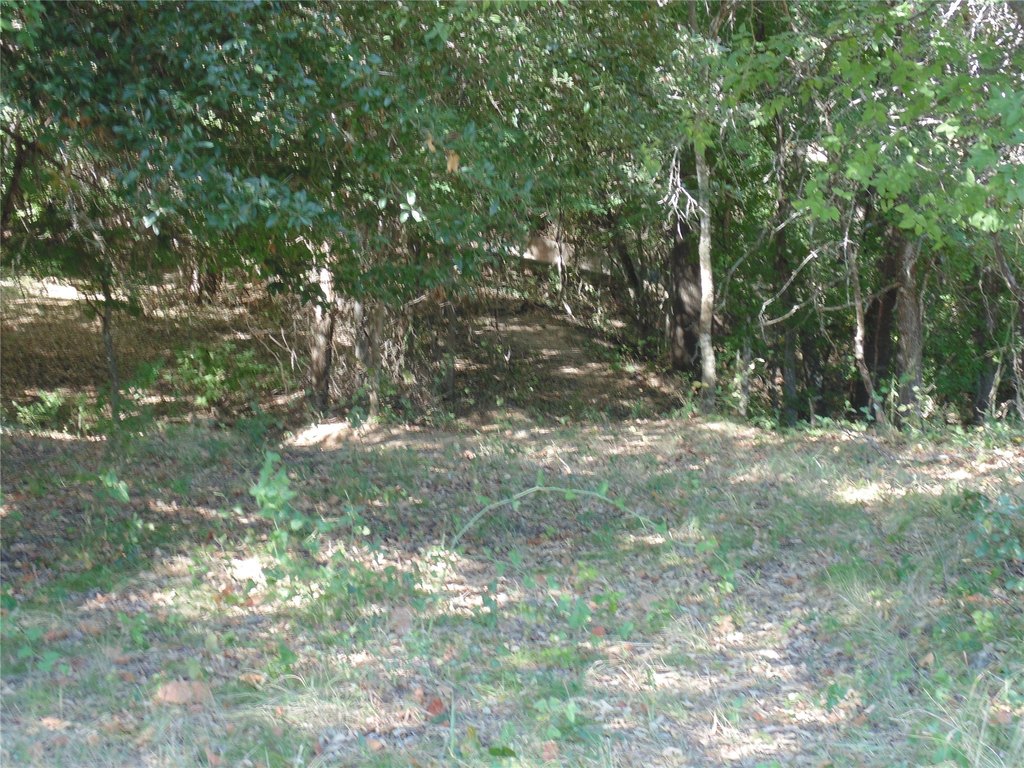 Picture 12