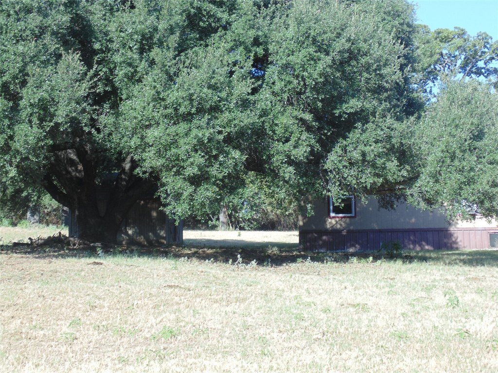Picture 27