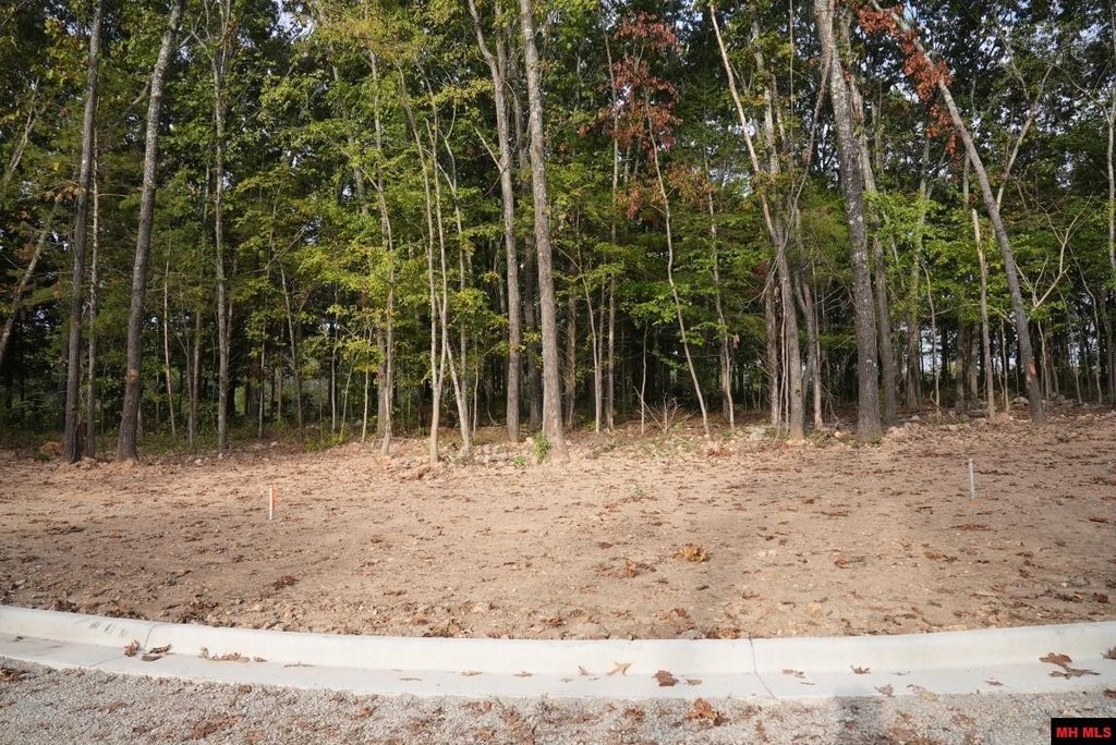 Picture 11