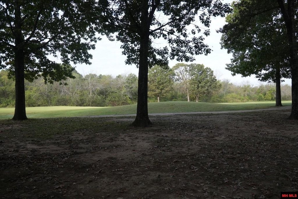 Picture 12