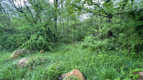 Wooded Land Near Town Center