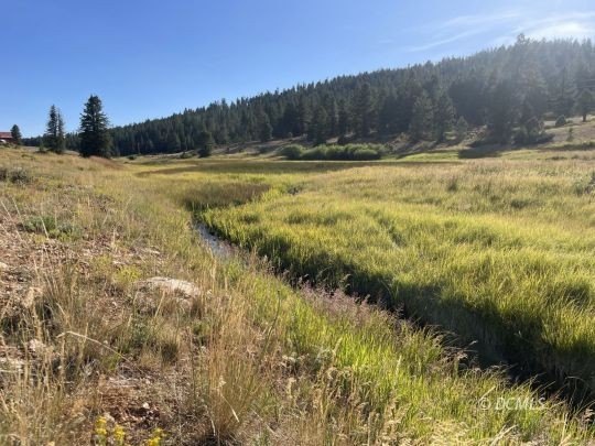 Residential Lot in Duck Creek