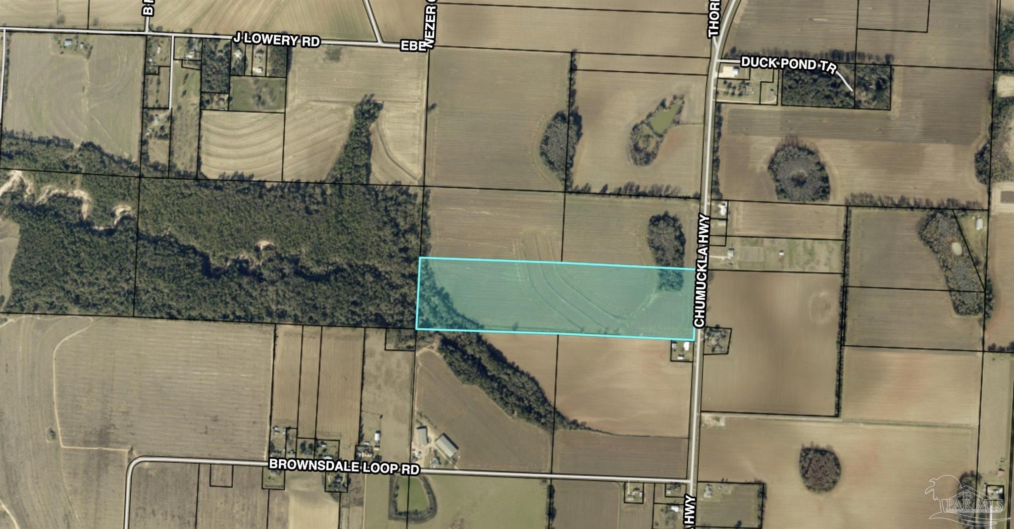 Expansive Land Parcel in Jay, FL