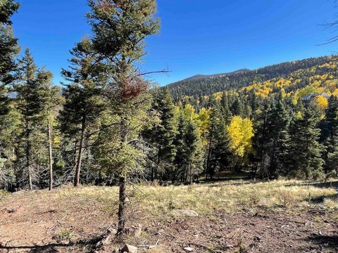 Land, Angel Fire, NM