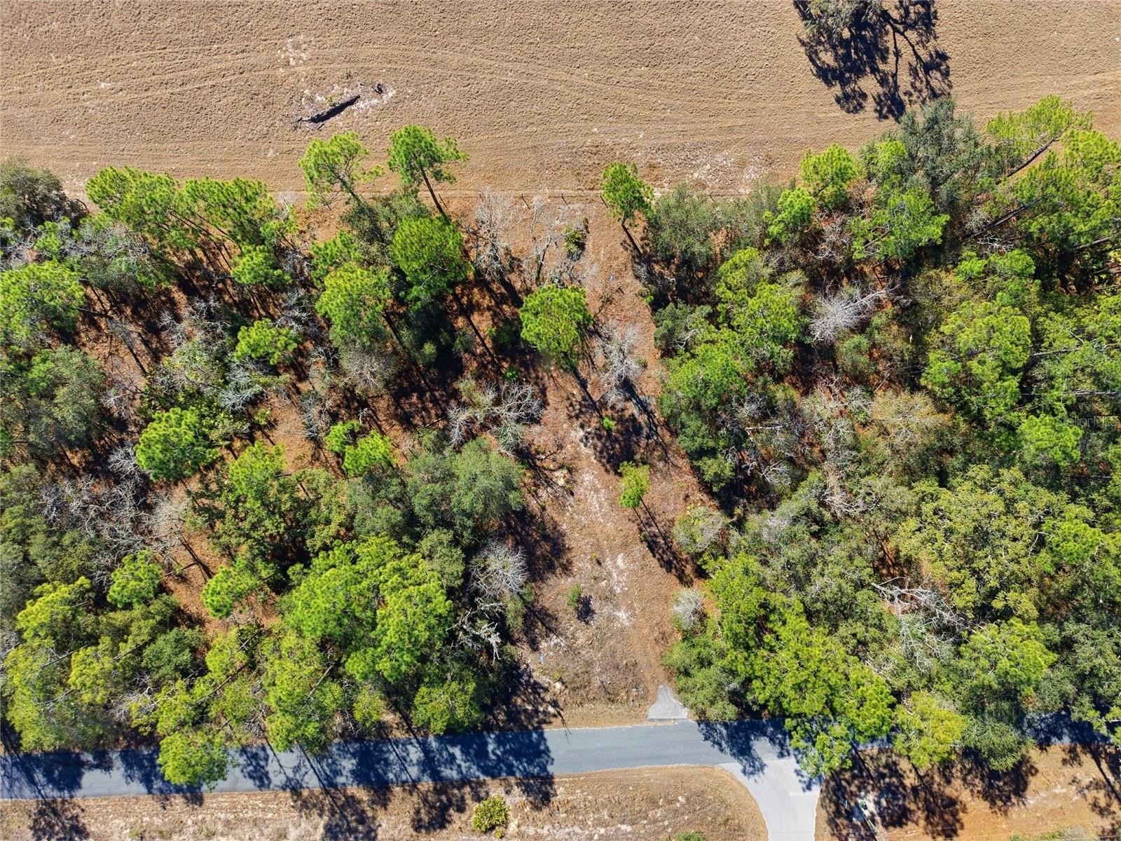 Land in Rainbow Lakes Estates