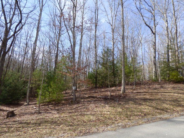 Picture 3