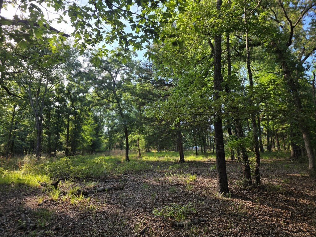 Picture 21