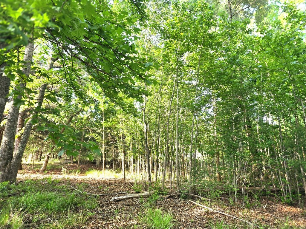 Picture 22