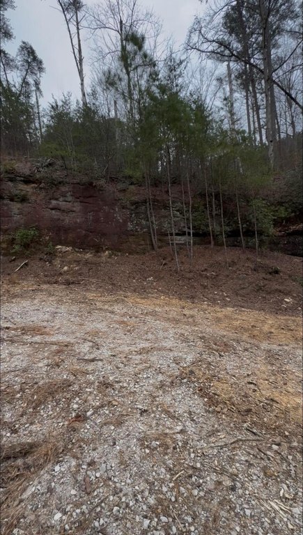 Picture 20