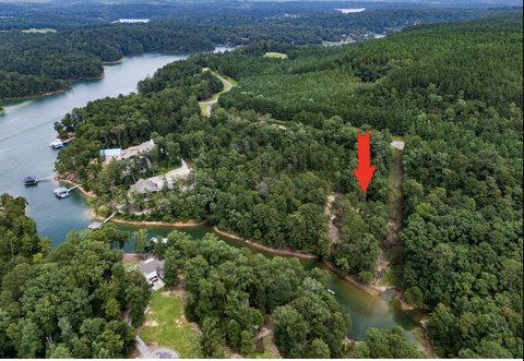 LAND - Double Springs, AL