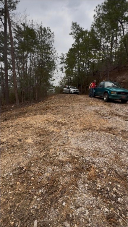Picture 21