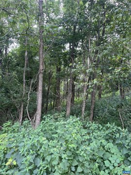 LAND - FREE UNION, VA