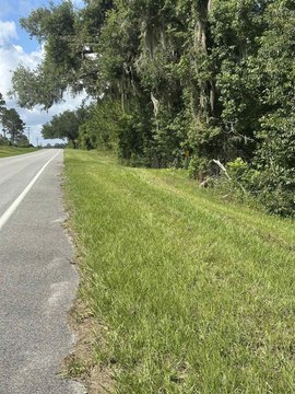 LAND - Greenville, FL