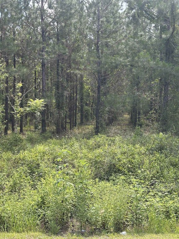 Picture 3