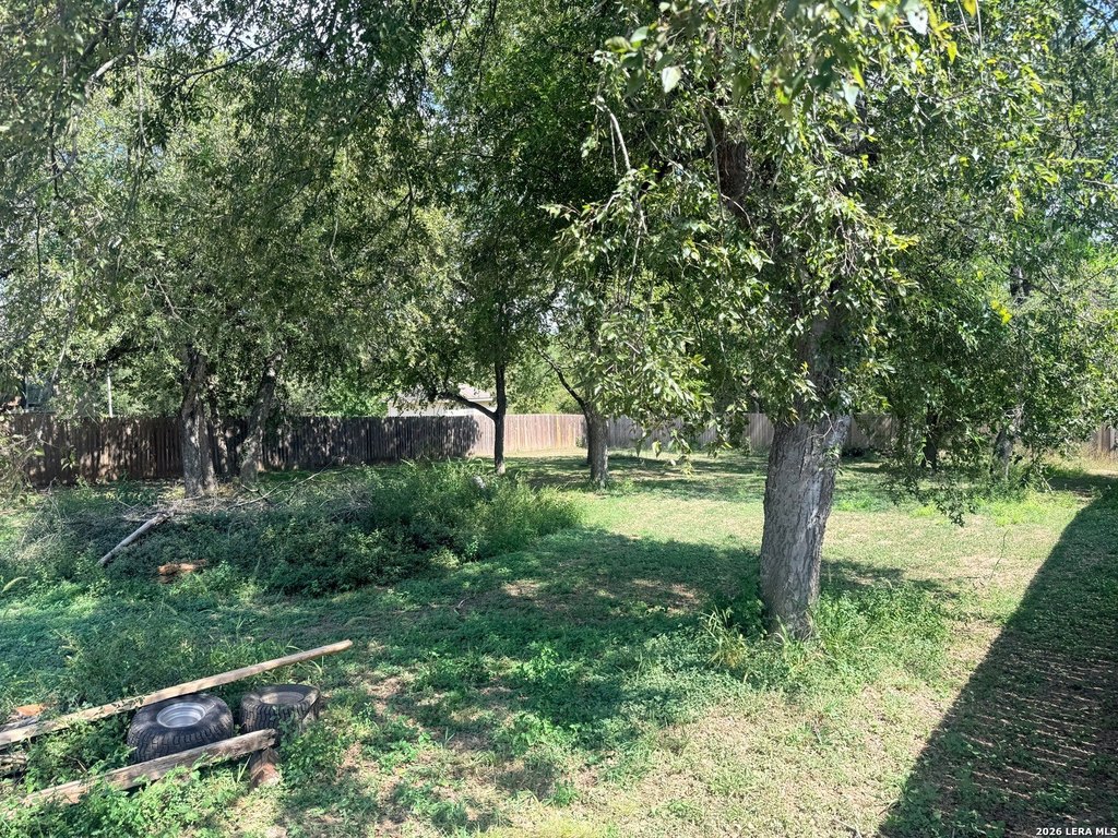 Picture 10