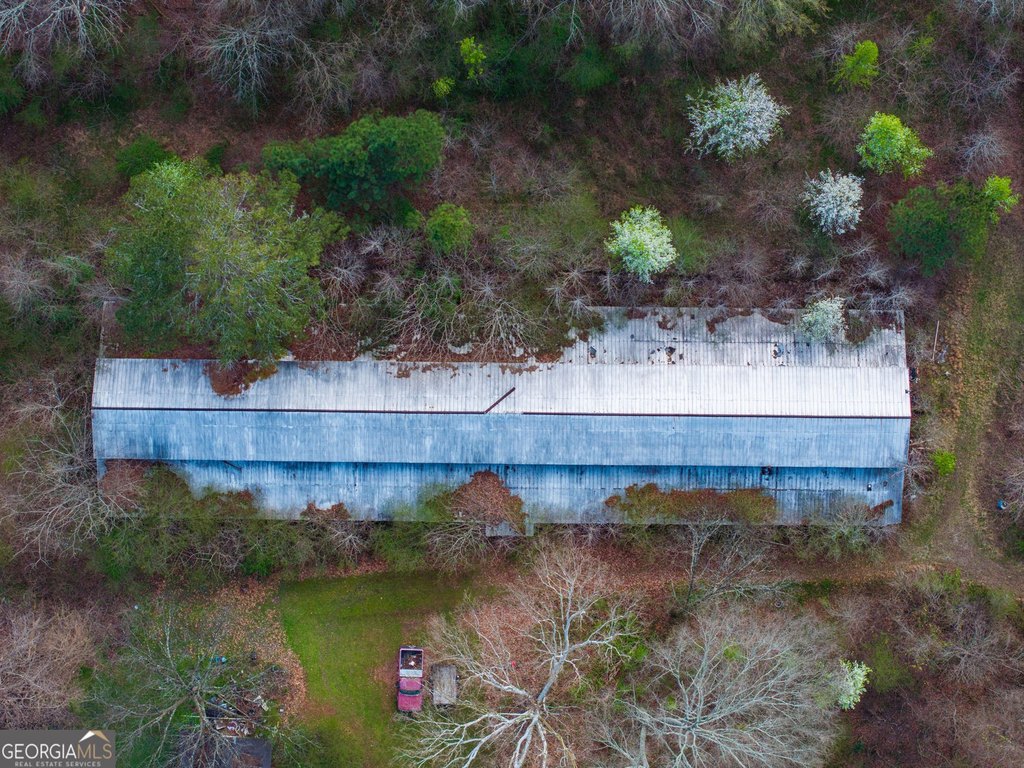 Picture 15
