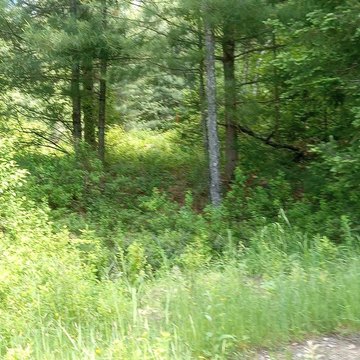 Stratford Vacant Land Opportunity