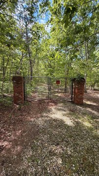 Secluded Wooded Lot in Bellport