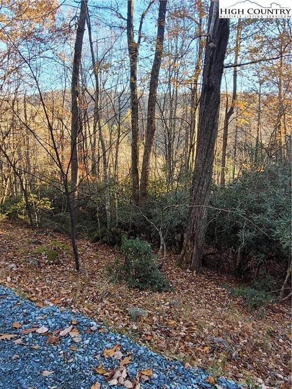 Beech Mountain View Lot