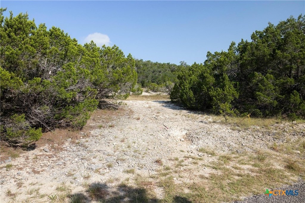 Picture 21