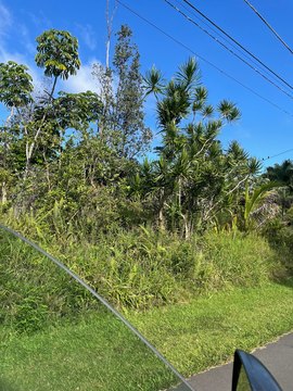 Land, Pahoa, HI