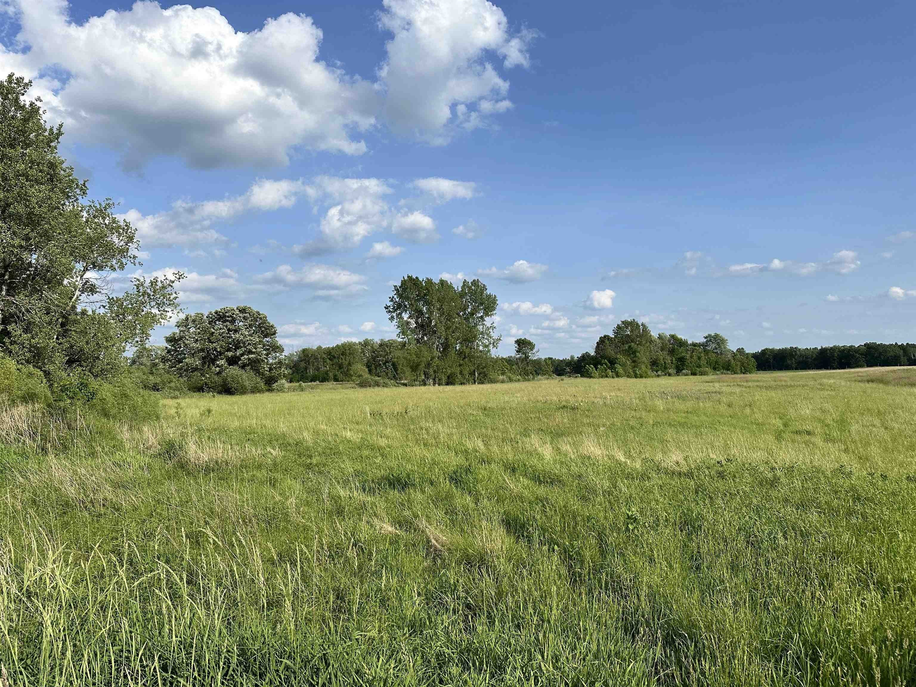 68 Acres Vacant Land Parcel