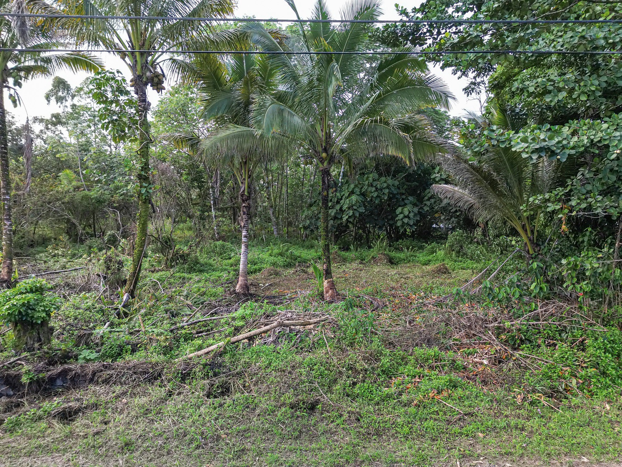 Keaau Land Near Ocean