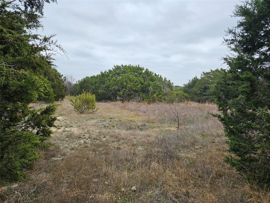 Picture 3