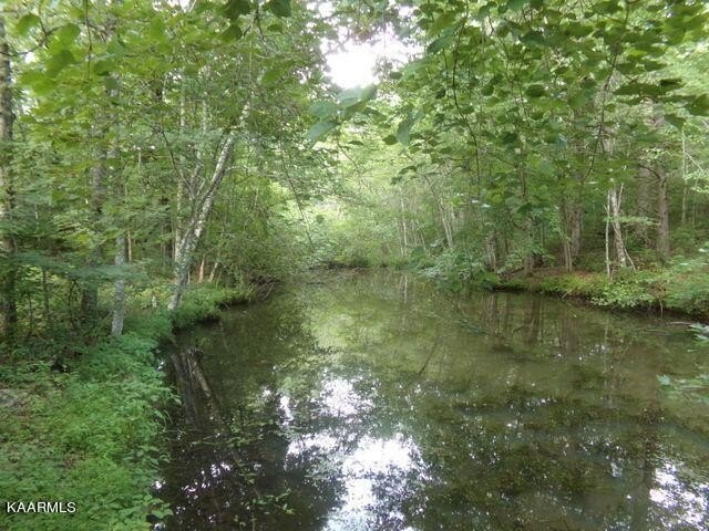 Lake Tansi Wooded Lot