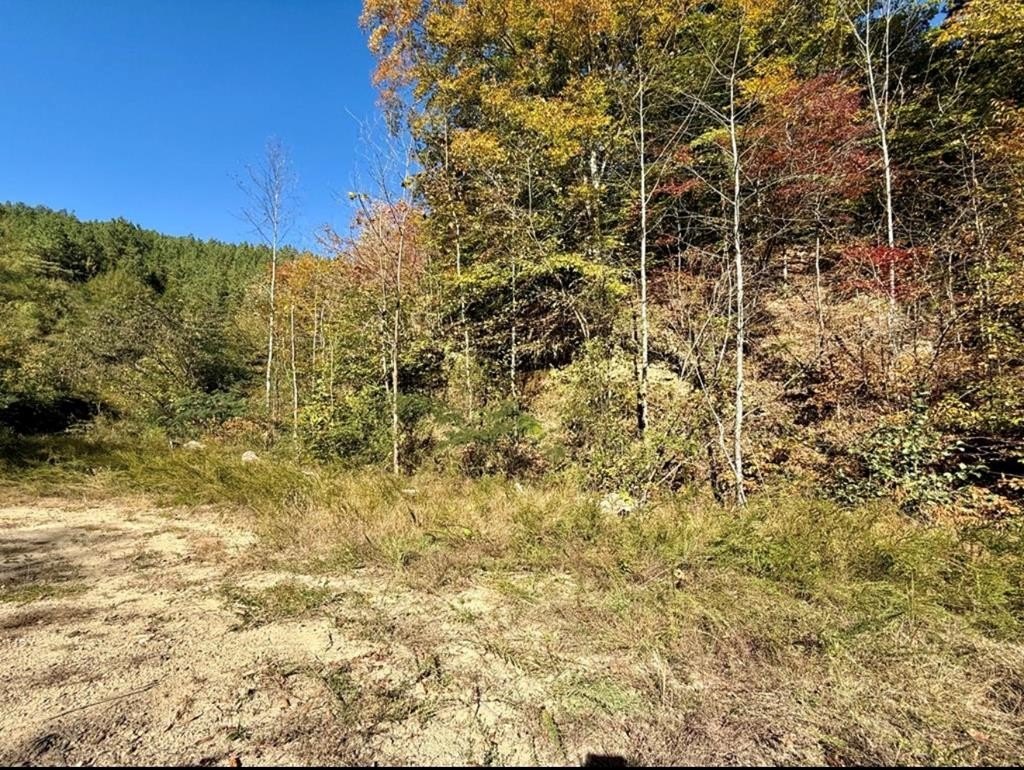 Residential Land in Banner, KY