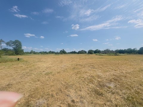 Land, Hallettsville, TX