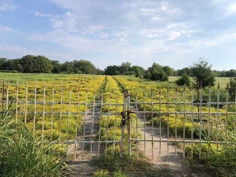 50 Acres of Vacant Land