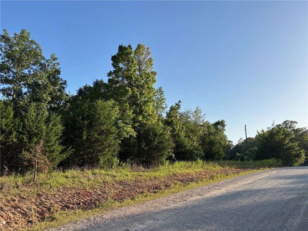 Wooded Land Parcel in Everton