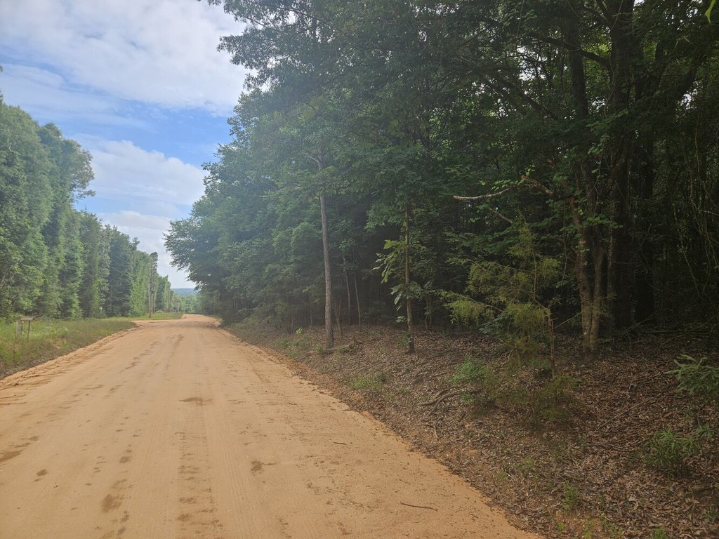 Picture 3