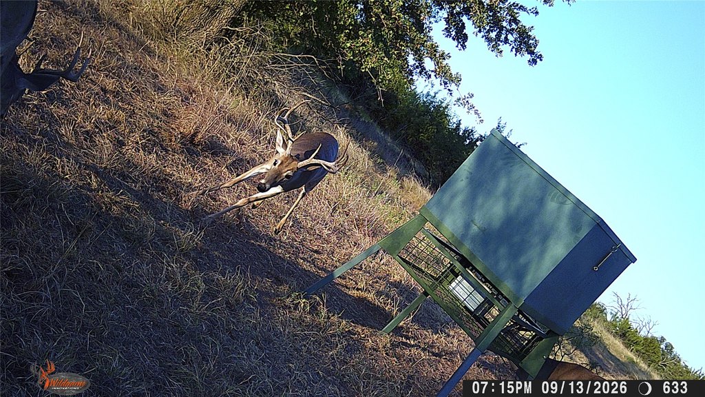 Picture 12