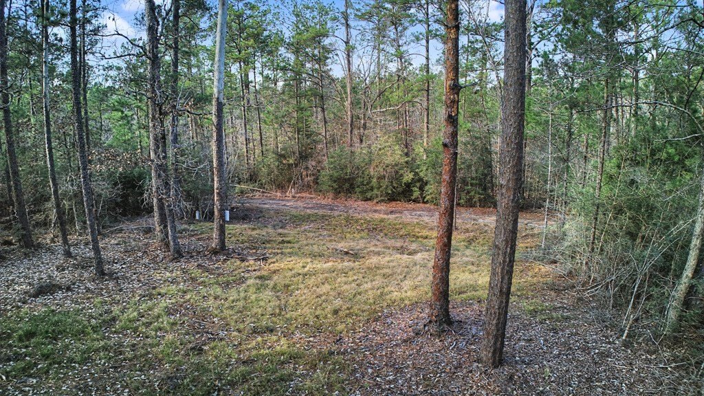 Picture 6