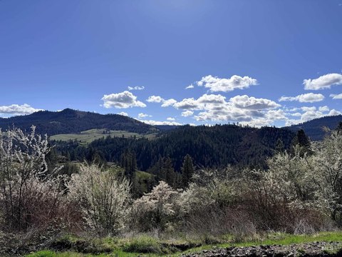 Lenore, ID Acreage with Utilities