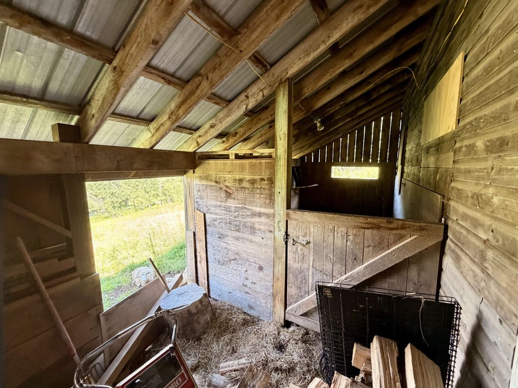 Picture 33