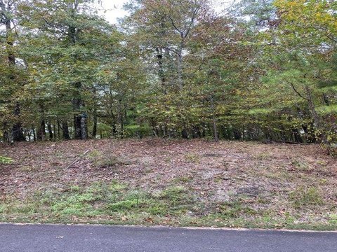Golf Course Lot in Arkansas