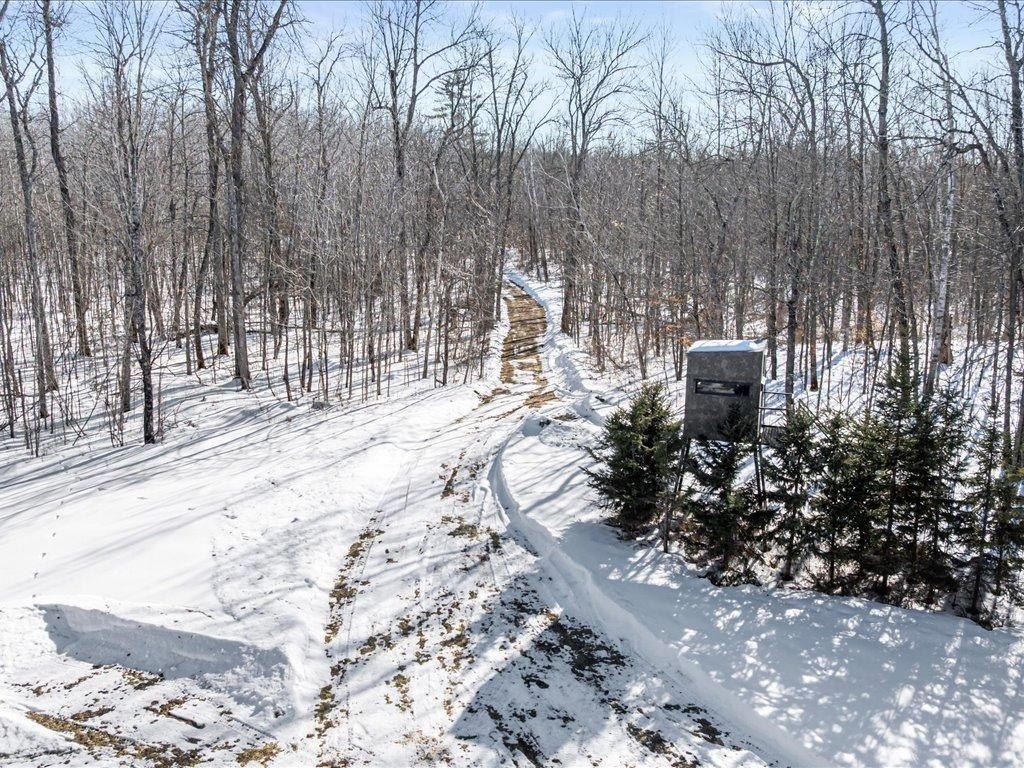 Picture 45