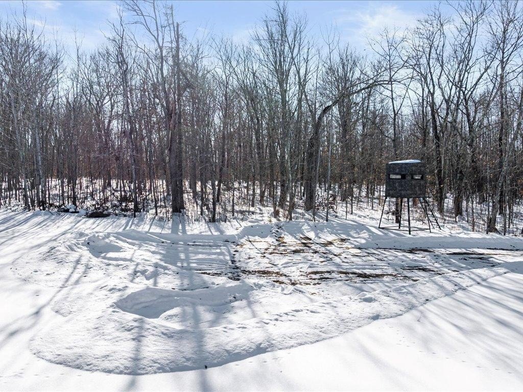 Picture 48