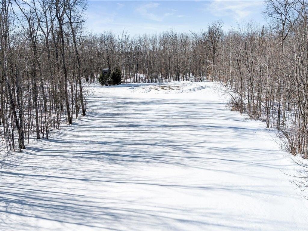 Picture 25