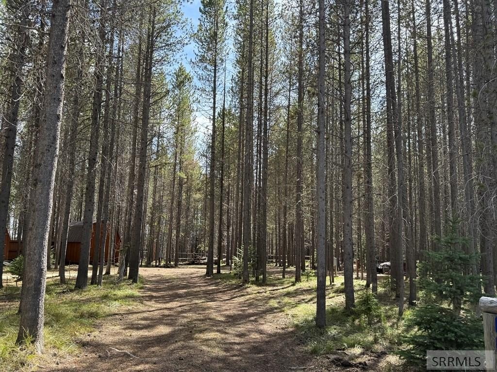 Picture 27