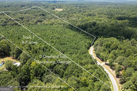 LAND - Sharpsburg, GA