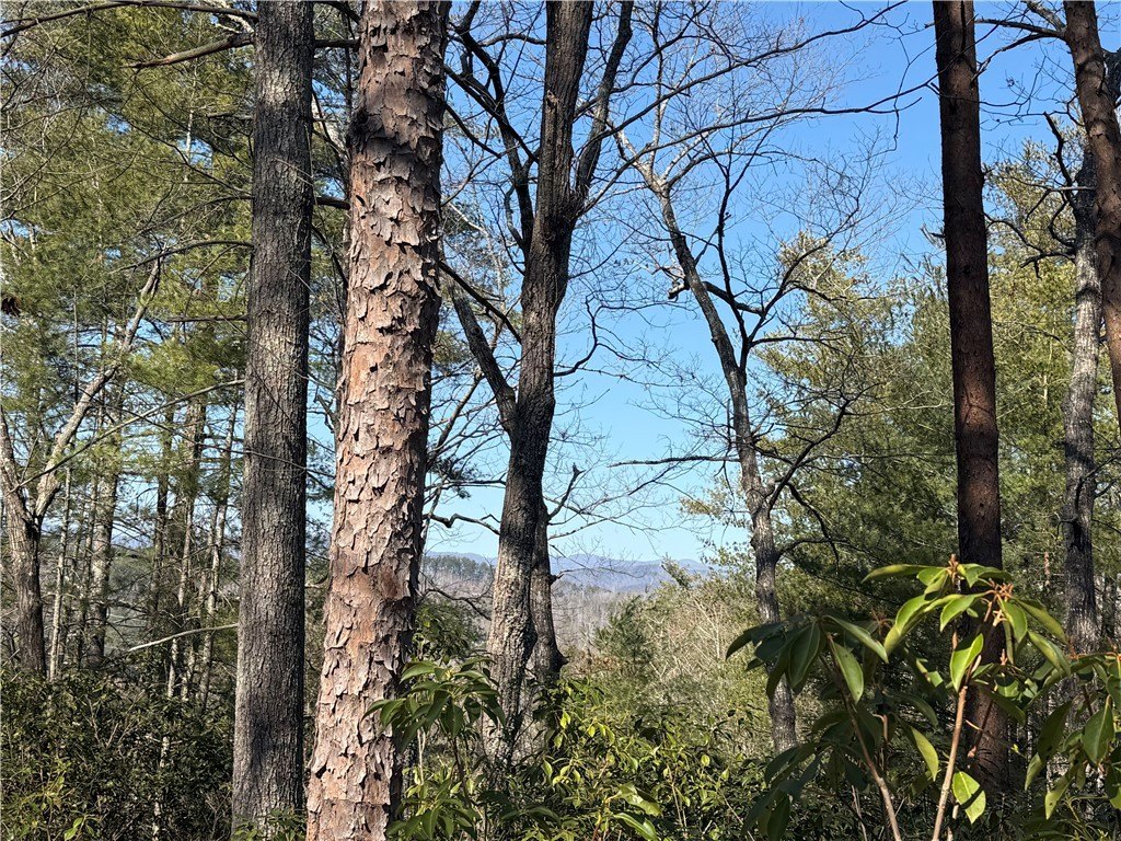 Sunset, SC Homesite Opportunity