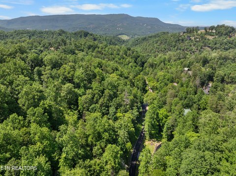 LAND - Sevierville, TN
